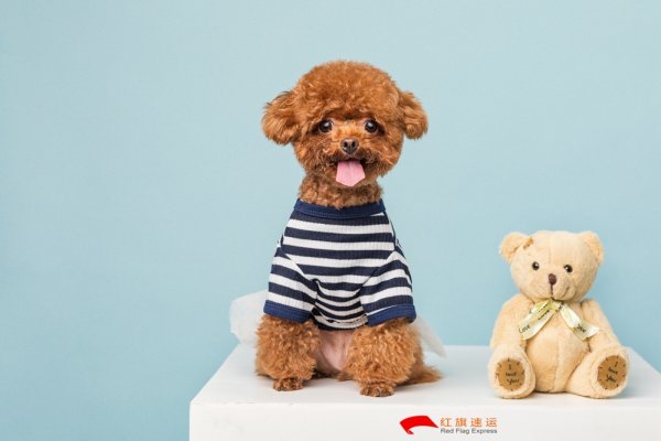 疫情期間香港商品如何轉(zhuǎn)運到四川攀枝花呢？